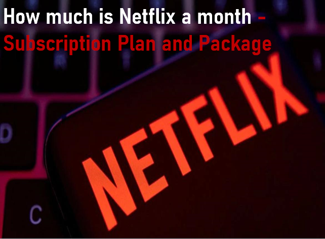 How much is Netflix a month