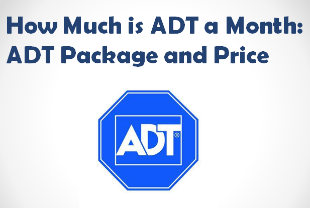 How Much is ADT a Month