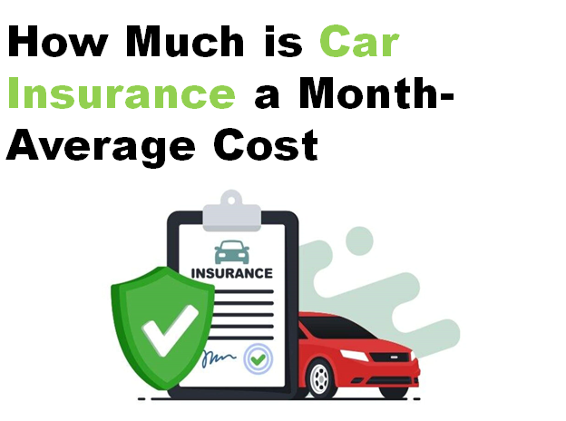 how much is car insurance a month