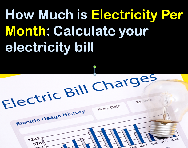 how much is electricity per month