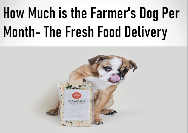 How much is the Farmer's Dog per month