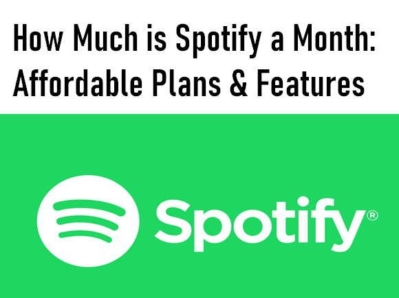 How Much is Spotify a Month